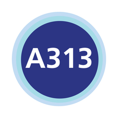 A313