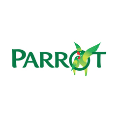 Parrot