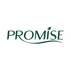 Promise