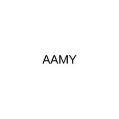 AAMY