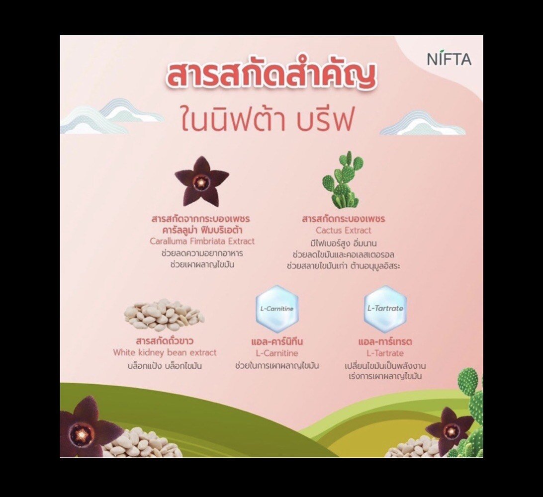 Nifta Brief 20 Capsules | Konvy