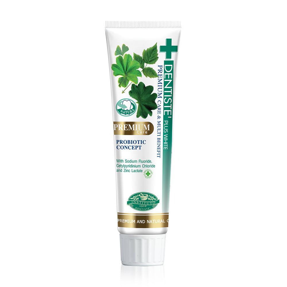 Dentiste Premium Care Toothpaste Tube 100g