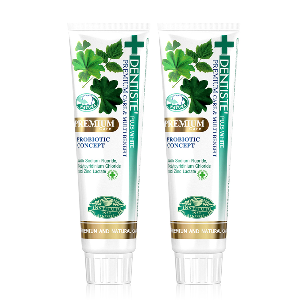 Dentiste Premium Care Toothpaste [100g x 2pcs]