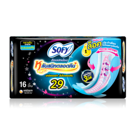 #[29cm x 16pcs]