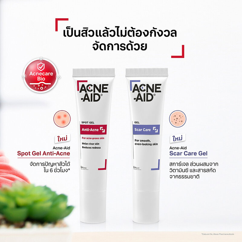 ACNE-AID Spot Gel Anti-Acne 10g ( สินค้าหมดอายุ : 2026.02.12 ) 