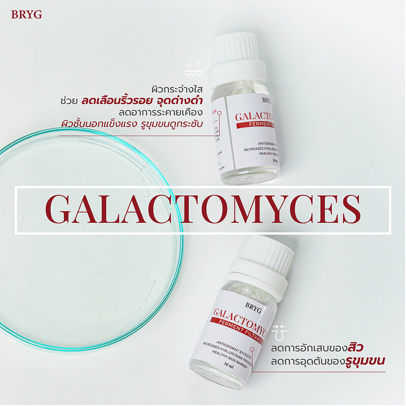 BRYG Galactomyces Serum 10ml