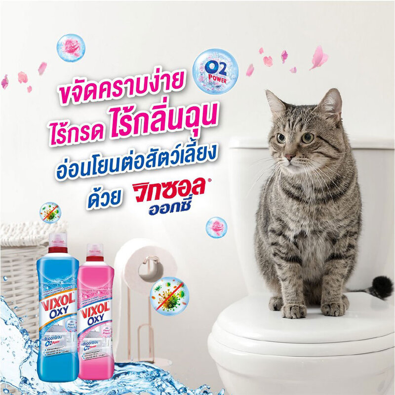 Vixol Oxy Bathroom Cleaner Floral Fresh 700ml #Pink