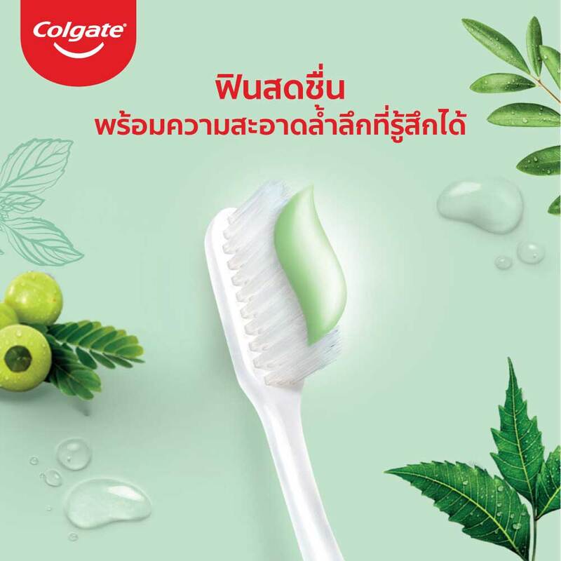 Colgate Panjaved Herbal Detox Toothpaste [120g x 2pcs]