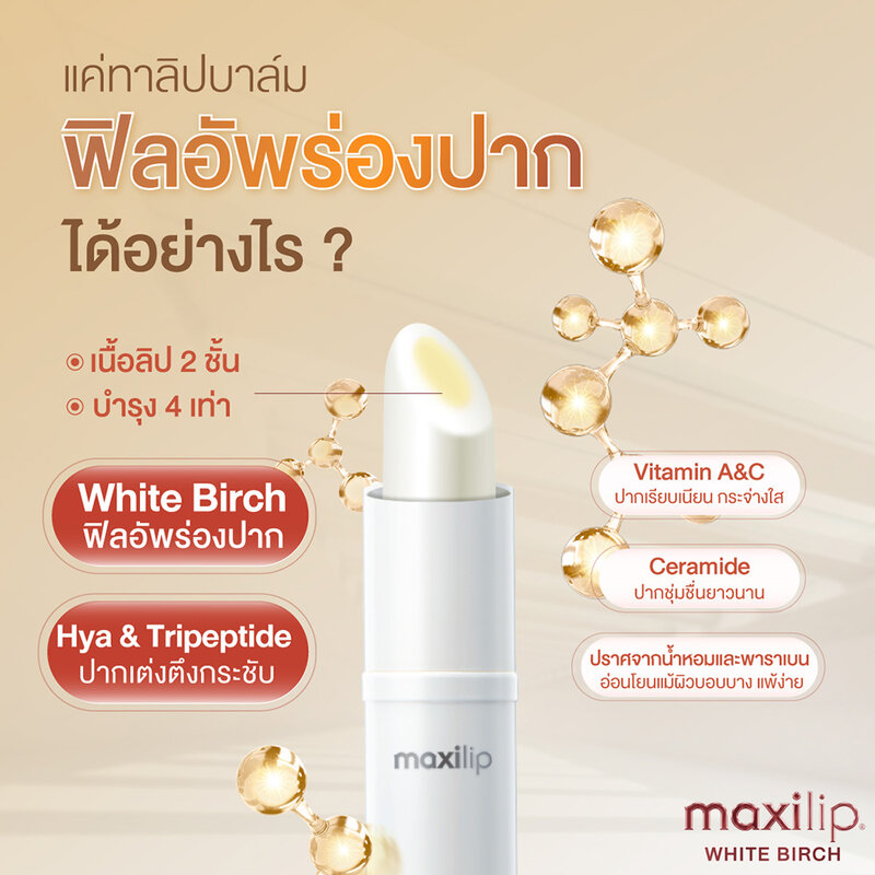 Mentholatum Maxilip White Birch 3.8g