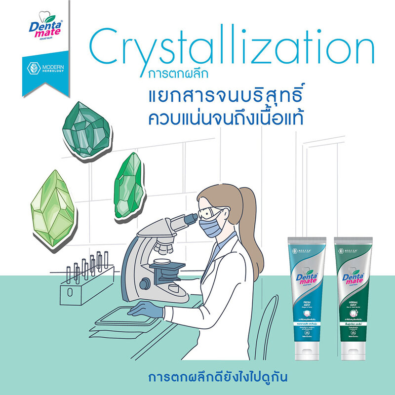 Dentamate Herbal Toothpaste Original Formula 100g