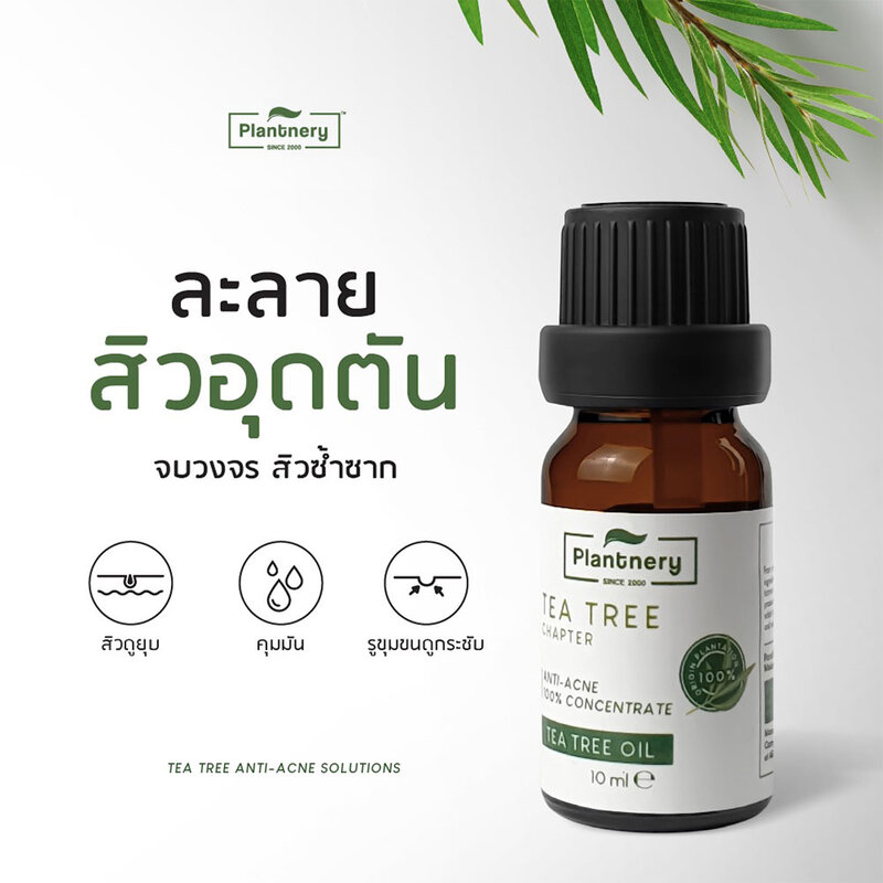Plantnery Tea Tree  Oil Concentrate 10ml