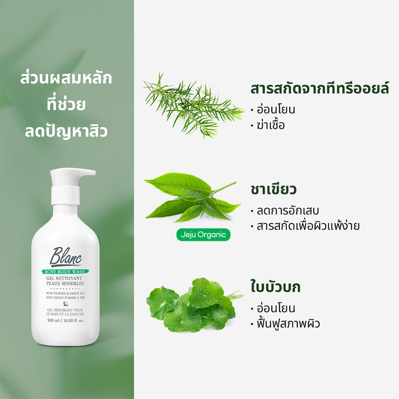 Blanc Nature Acne Body Wash 500ml