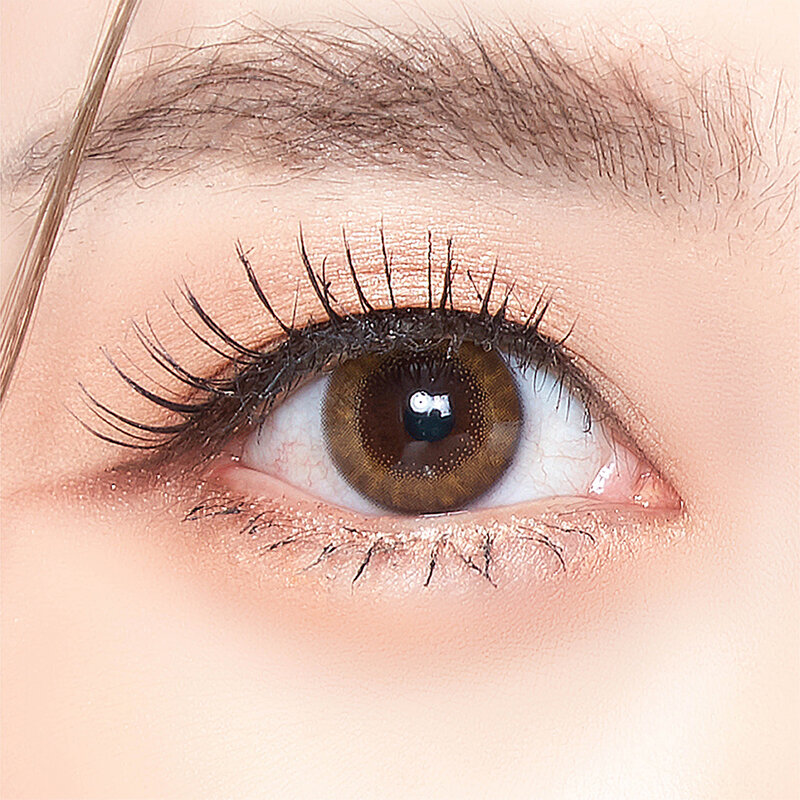 Pegavision Contact Lens Kaori Daily Laurel Brown [5 Pairs] #-6.00