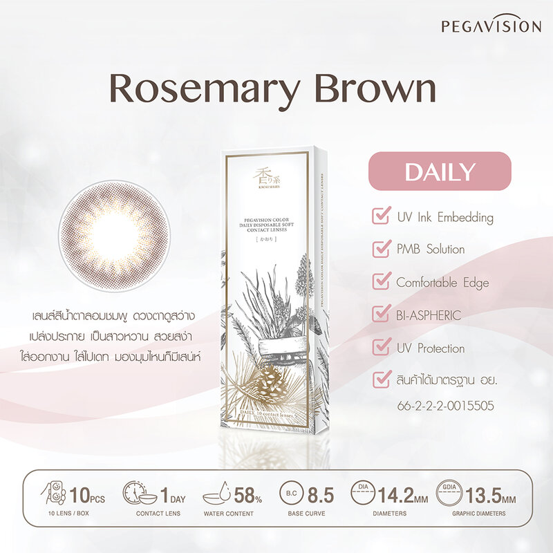 Pegavision Contact Lens Kaori Daily Rosemary Brown [5 Pairs] #-3.00