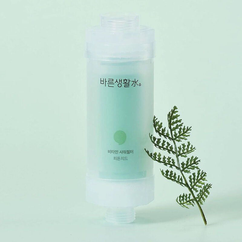 Bareun Soo Shower Filter Phytoncide 145g