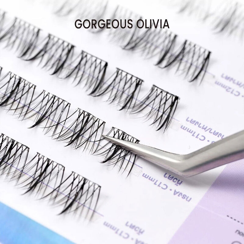 Gorgeous Olivia Eyelashes Aba Natural 36pcs #GO04