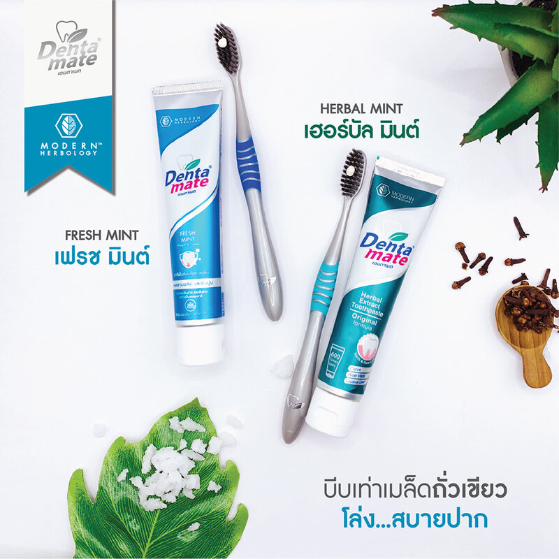 Dentamate Fresh Mint Herbal Extract Toothpaste 120g
