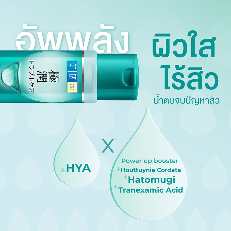 Hada Labo Blemish & Oil Control Hydrating Lotion 30ml