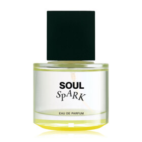 #Soul Spark