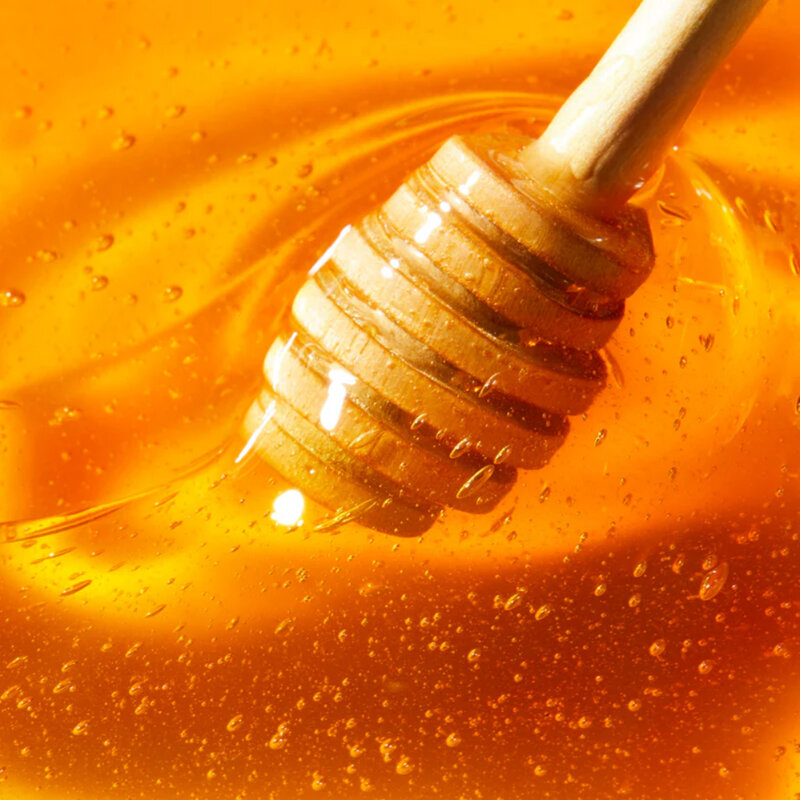 NUXE Reve De Miel Honey Lip Care 10ml