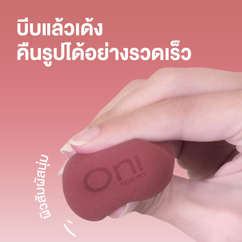 Oni Plant Forest Sponge Gift Box Set  (3 Packs+Metal Egg  Rack)