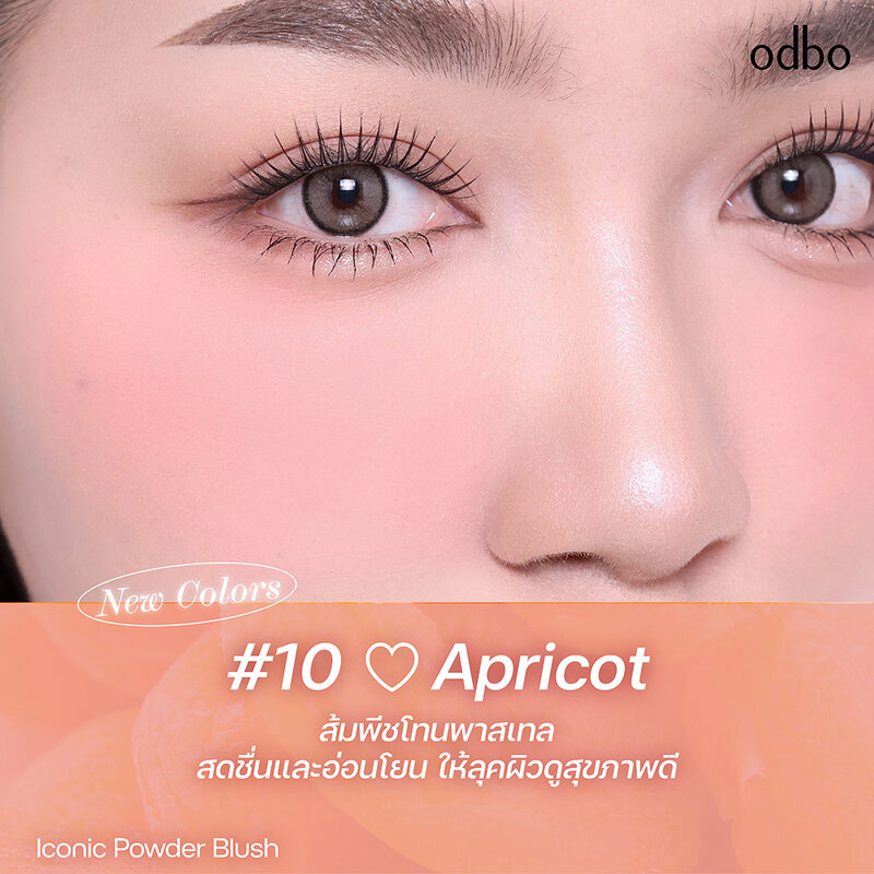ODBO Iconic Powder Blush 4.2g #OD1325-10
