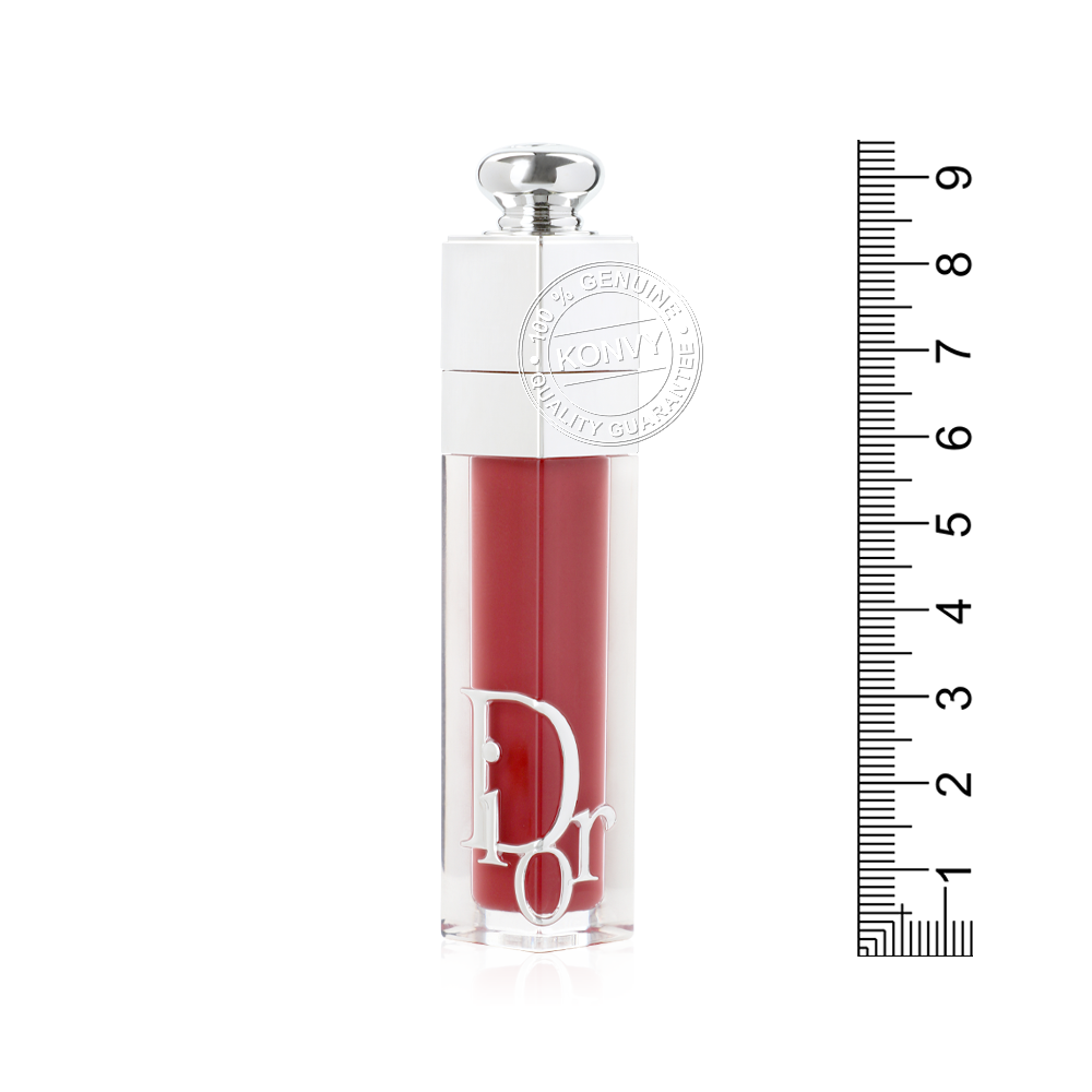 Dior Addict Lip Maximizer 6ml #029 Intense Grape