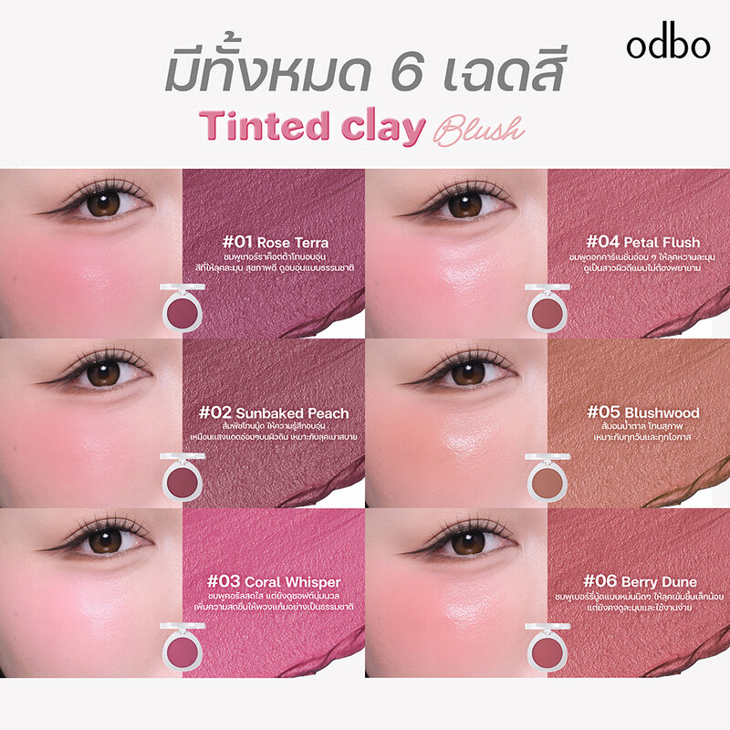 ODBO Tinted Clay Blush 5g #01 Rose Terra