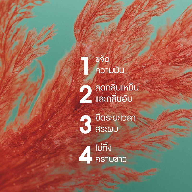 Yves Rocher Purity Detoxifying Dry Shampoo 150ml