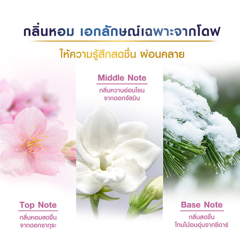 Dove Sakura Body Scrub [280g x 2pcs]