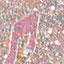 #05