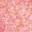 #02